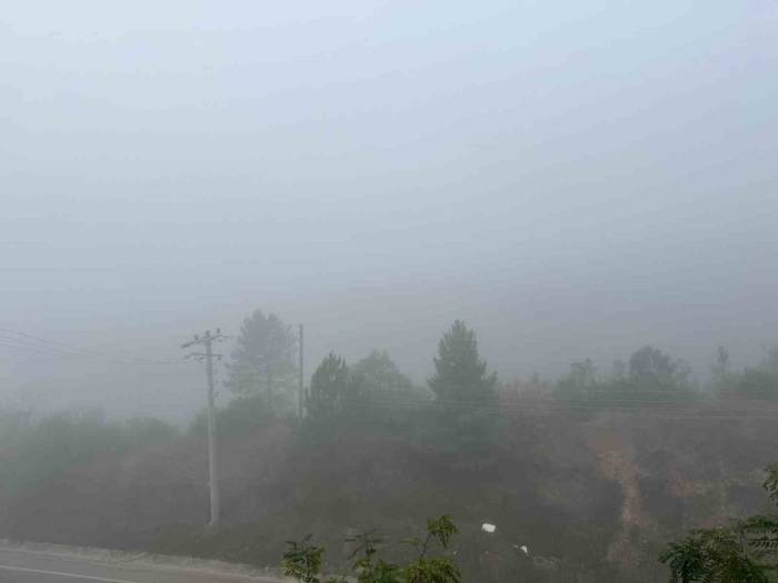 Kocaeli’de Sis Etkili Oluyor