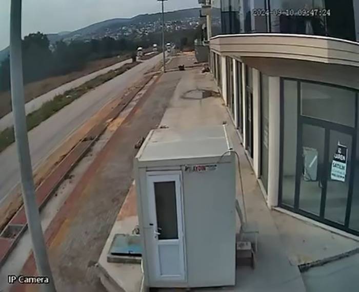 Dikkatsiz Kamyoncular, Kafa Kafaya Çarpıştı