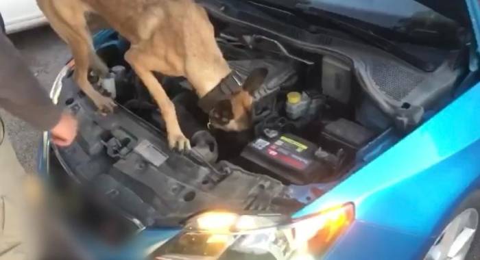 Narkotik Arama Köpeği ‘Eta’ Tacirlere Geçit Vermedi: 2 Gözaltı