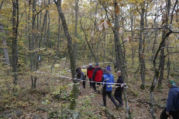 Yenice Ormanlarında Tepki Çeken Çevre Kirliliği