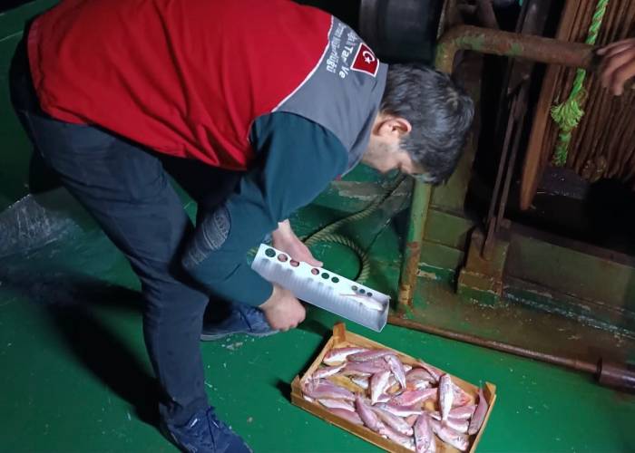 Muğla’da Su Ürünleri Av Yasağı Denetimleri Aralıksız Devam Ediyor