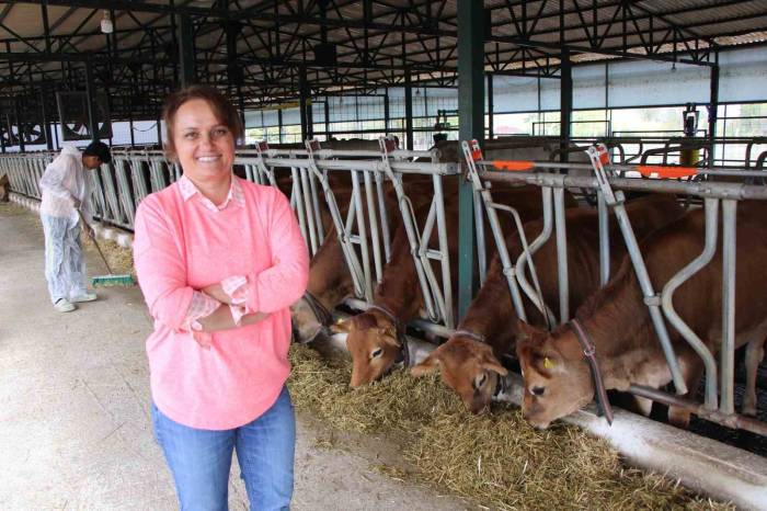 Şantiyeden Köyüne Dönüp Süt Çiftliği Kurdu: “Kızlarımla Mutlu Mesut Yaşıyoruz”