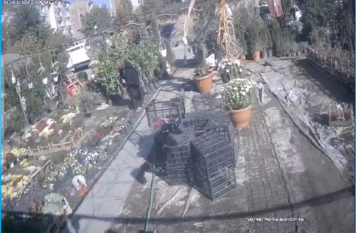 Önce İnceledi, Ardından Şalının Altına Koyup Kaçtı