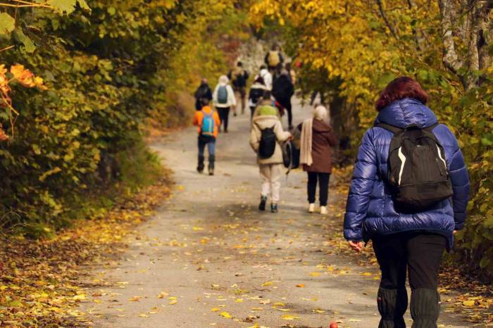 Gümüşhane’de Sonbahar Tüm İhtişamıyla Devam Ediyor