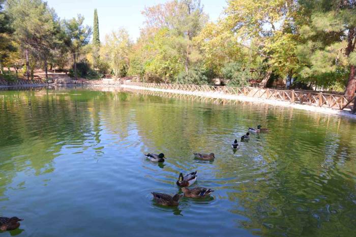 Kahramanmaraş’taki Botanik Bahçe 400’ün Üzerinde Ağacı Barındırıyor