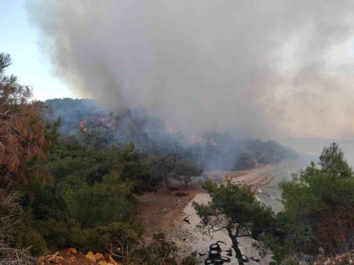 Keşan’da Ormanlık Alanda Çıkan Yangın Kontrol Altına Alındı