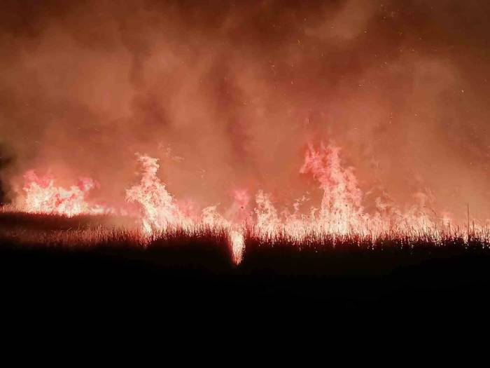 Sultan Sazlığı Milli Parkı’nda Yangın