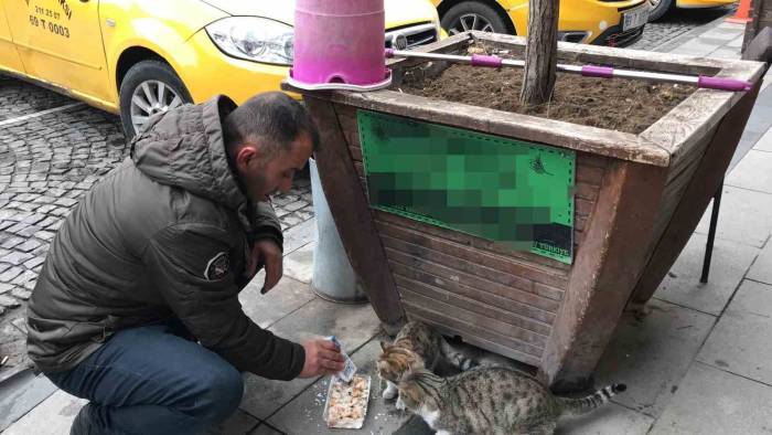 Bayburtlu Taksici Siftahı Kedileri Besleyerek Yapıyor