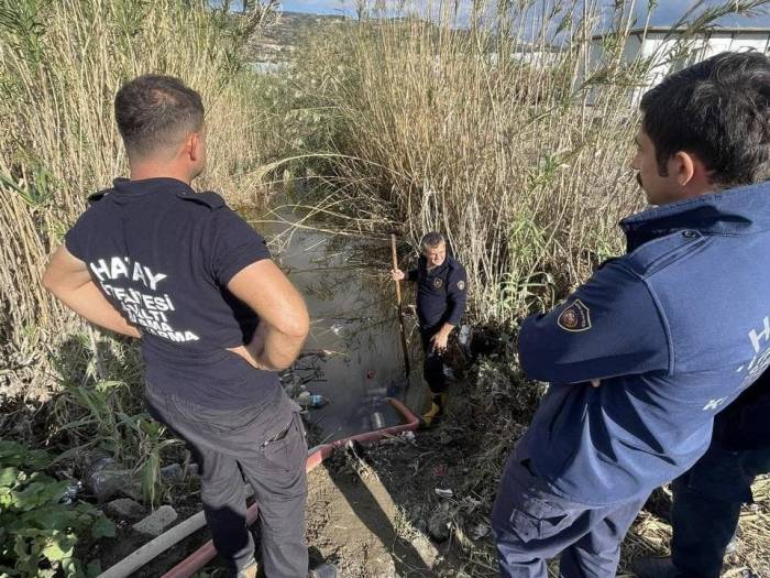 Samandağ’da Yağmur Suyu Giderinde Mahsur Kalan Yavru Köpekler Kurtarıldı