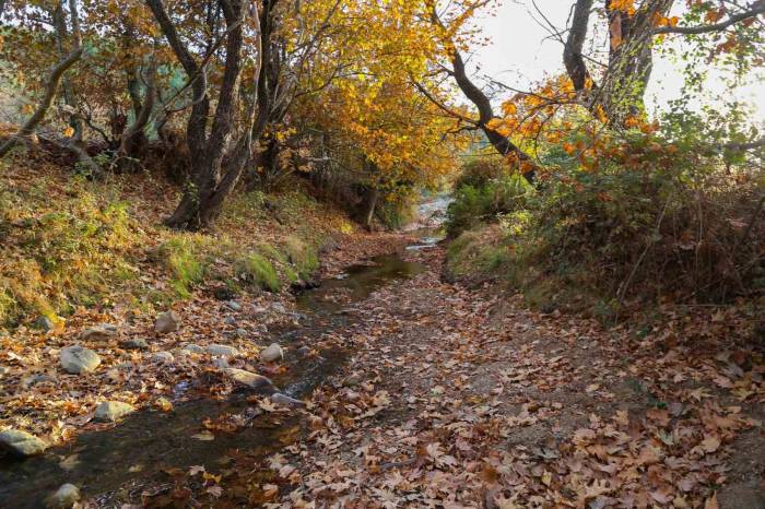 Gördes’ten Kartpostallık Sonbahar Görüntüleri