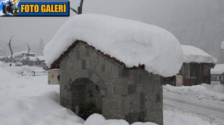 ayder-yaylasinda-gunlerdir-devam-eden-kar-yagisi-hem-ziyaretcileri-hem-isletmecileri-mutlu-ediyor.jpg