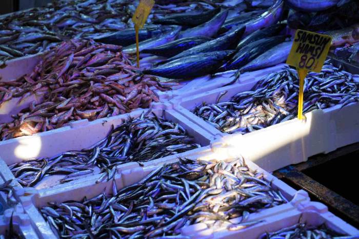 Fiyatı 80 Tl’ye Düşen Hamsi Kapış Kapış