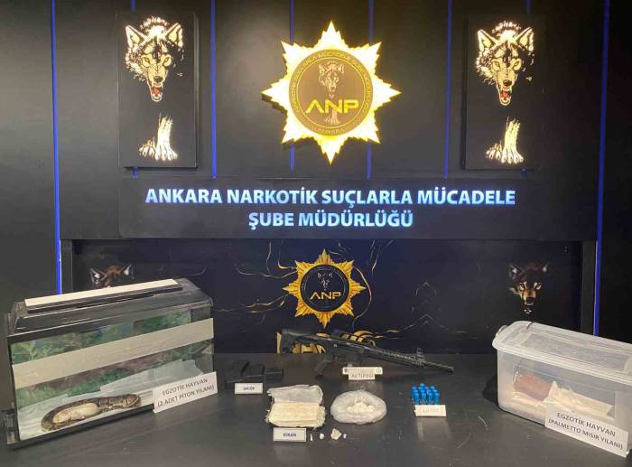 Narkogüç Operasyonları Kapsamında 1 Kişi Yakalandı
