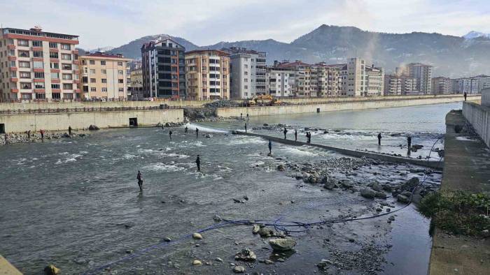 Artvin’de Fırtına Somon Kafesini Parçaladı, Vatandaşlar Dereye Akın Etti