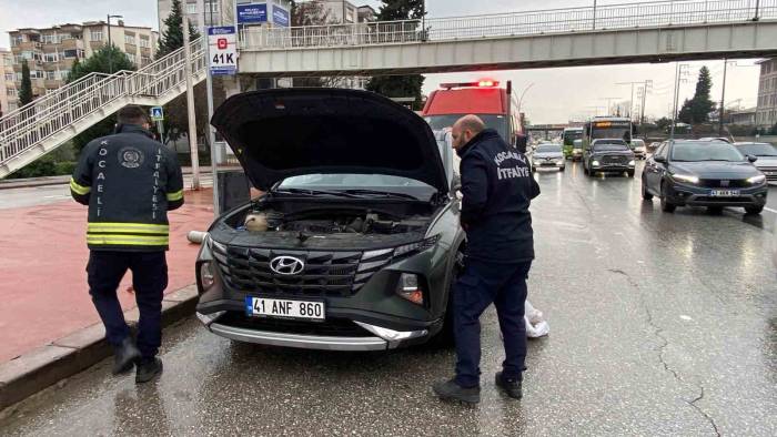 Motora Saklanan Kedi 13 Kilometre Yol Gitti