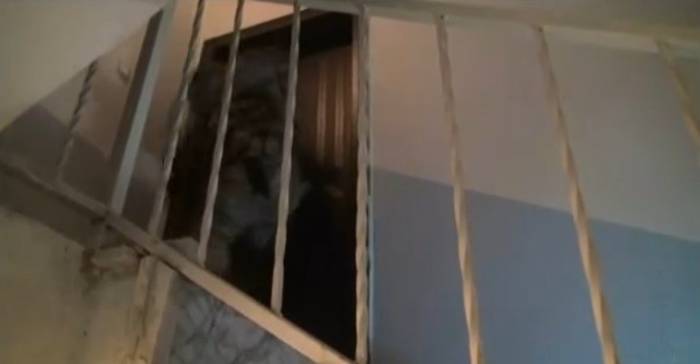 İzmir’de Pkk Operasyonunda Şüphelinin Açmadığı Kapı Koçbaşıyla Kırıldı