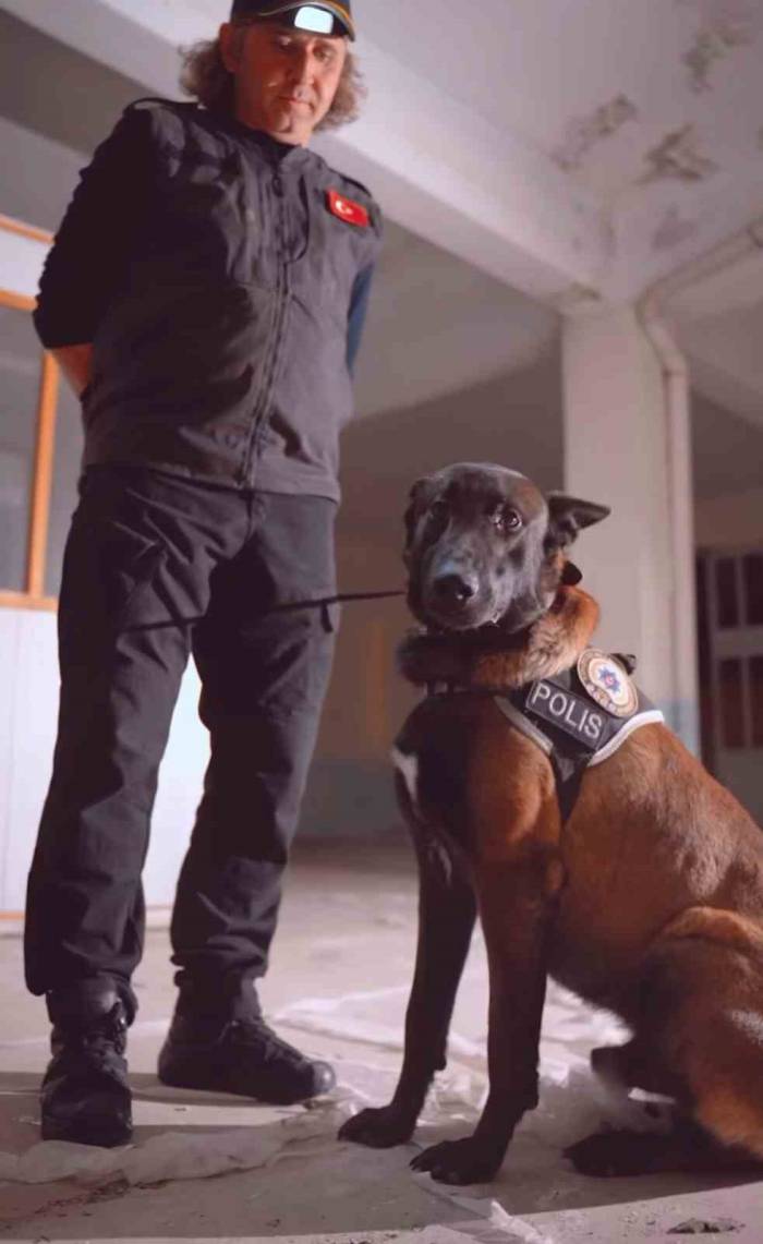 Isparta’nın Narkotik Kahramanı Milon, Üçüncü Kez ’ayın Köpeği’ Seçildi