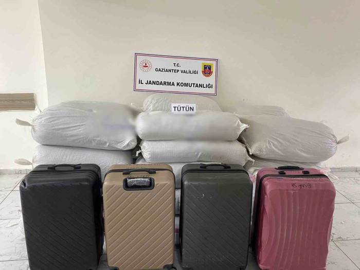 Gaziantep’te 1 Ton 750 Kilo Kaçak Tütün Ele Geçirildi
