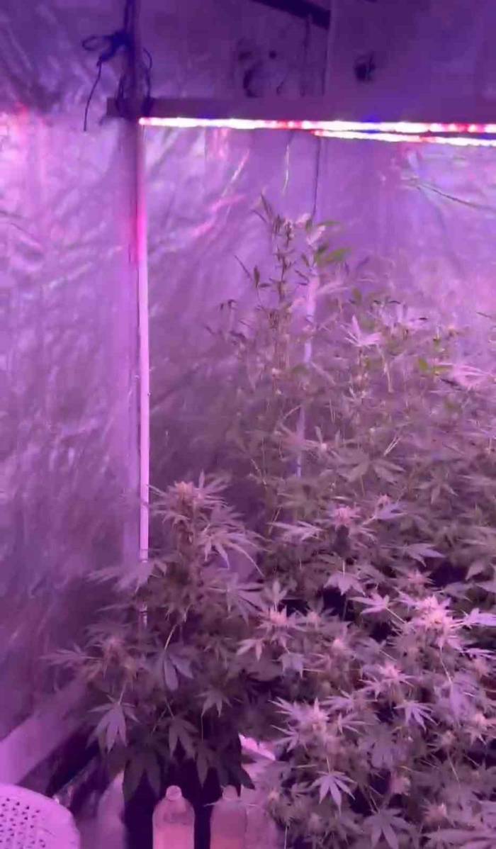 Bandırma’da Uyuşturucu İmalathanesine Baskın: 1 Gözaltı