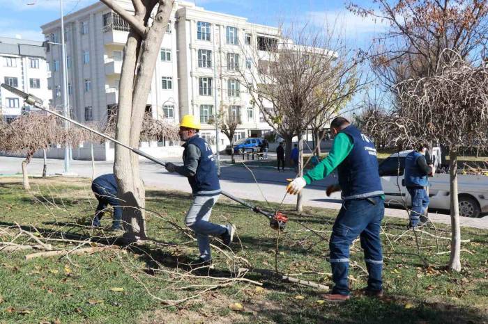 Park Ve Sokaklarda Peyzaj Çalışmaları Devam Ediyor
