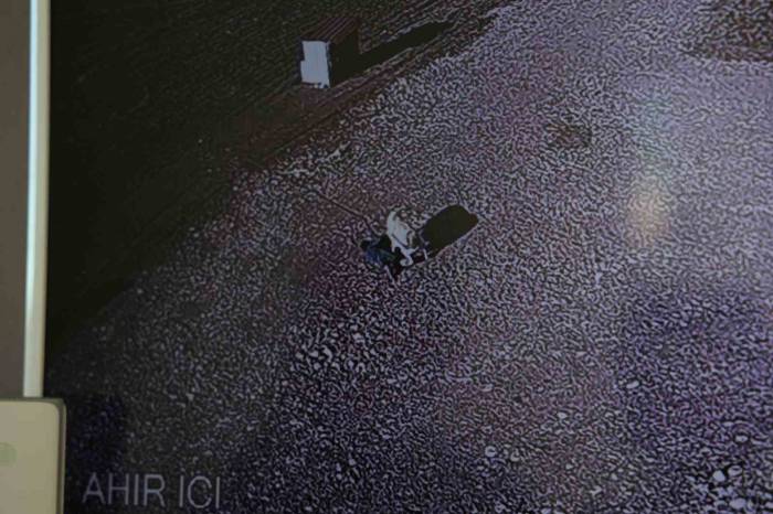 Köpeğin Çocuğa Saldırdığı Anlar Güvenlik Kamerasına Yansıdı