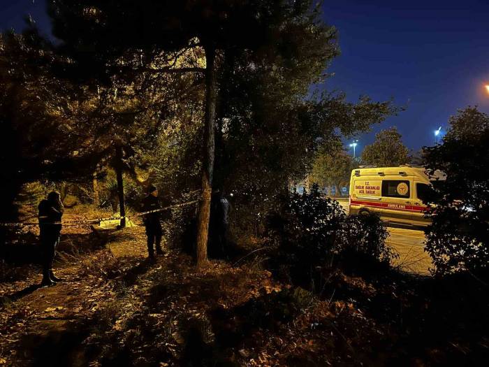 Maltepe’de Şüpheli Ölüm: 33 Yaşındaki Şahıs Yol Kenarında Ölü Bulundu