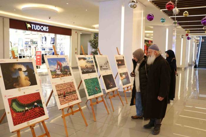 Erzincan’da 14. Uluslararası Tarım, Orman Ve İnsan Fotoğraf Sergisi Açıldı