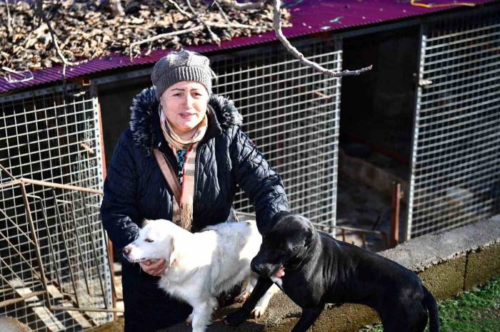 Ortahisar Belediyesi’nden Hayvansever Vatandaşlara Mama Desteği