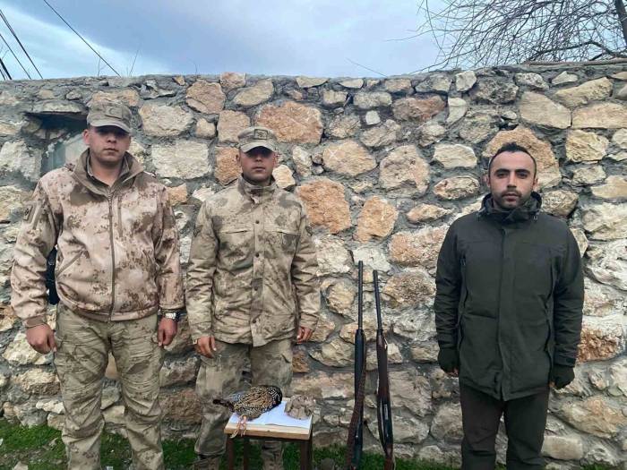 Şırnak’ta Kaçak Avcılara Ceza