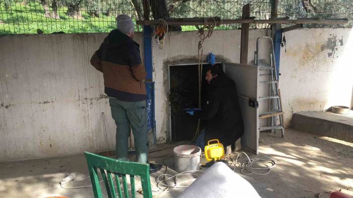 Bursa’da Kaçak Kazı Operasyonu