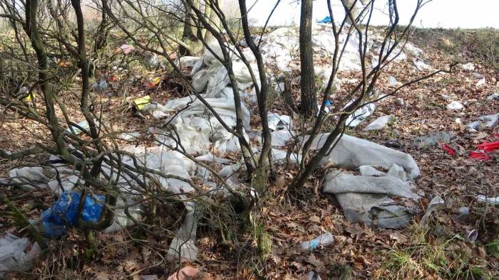 Tuzla’da Mesire Alanları Çöplüğe Döndü: Vatandaşlardan Tepki