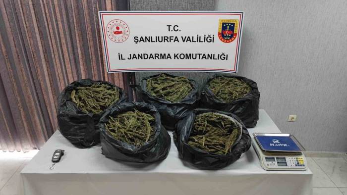 Şanlıurfa’da Silah Ve Uyuşturucu Madde Ele Geçirildi: 7 Gözaltı