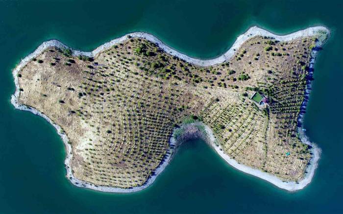 "Robinson Crusoe" Ziya Dede Hastalandı, Adaya Belediye Başkanı Sahip Çıktı