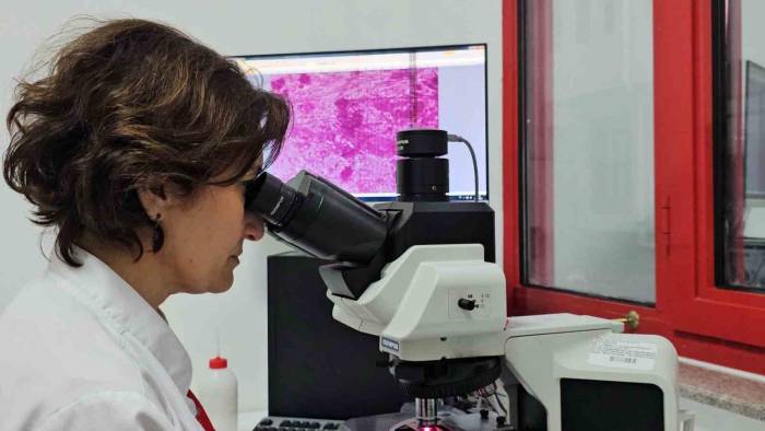 Kontrolsüzce Çevreye Bırakılan Etler "kist Hidatik Enfeksiyonunun’ Yayılmasına Neden Oluyor