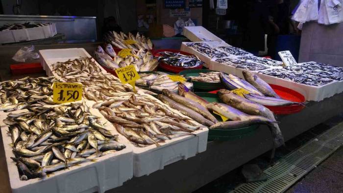 Hamsi Tekrar Bol Miktarda Tezgâhlarda Yerini Aldı