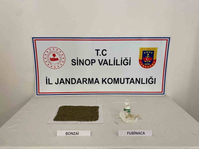 Sinop’ta Uyuşturucu Operasyonu :1 Tutuklama