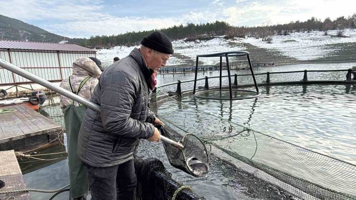 Deniz Olmayan Tokat’ta Balıkçıların Bayram Mesaisi