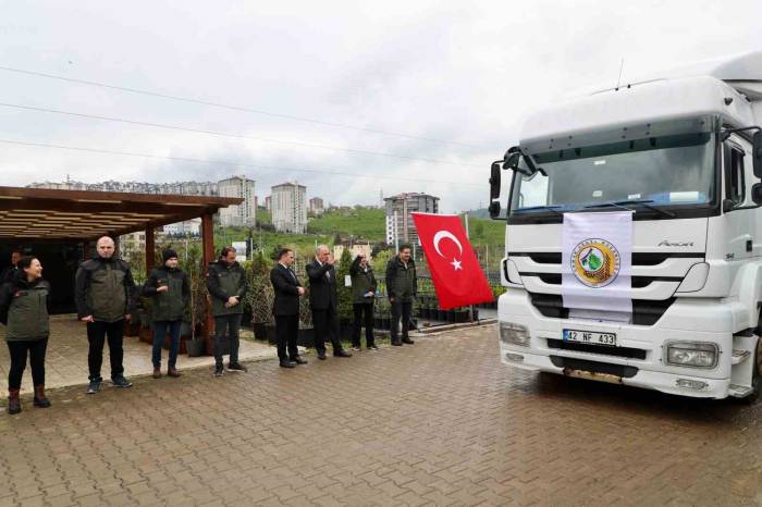 Ordu’dan Azerbaycan’a 3 Tır Orman Fidanı Gönderildi