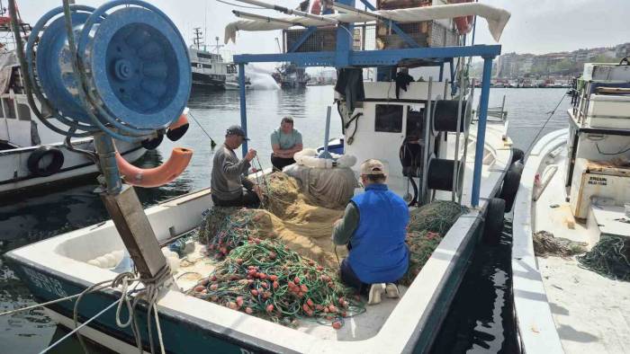 Müsilaj Endişesi Yeniden Gündemde: "Balığın Etine Zararı Yok"