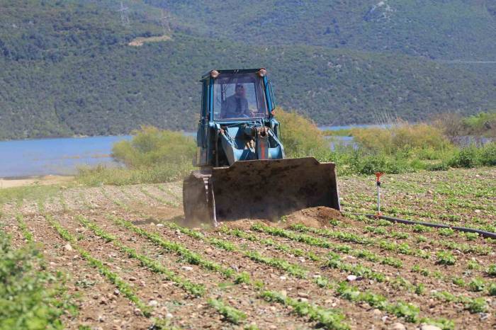 Devlet Çiftçiye "Ekin" Diyor, Dsi Ekili Alanları Düzlüyor