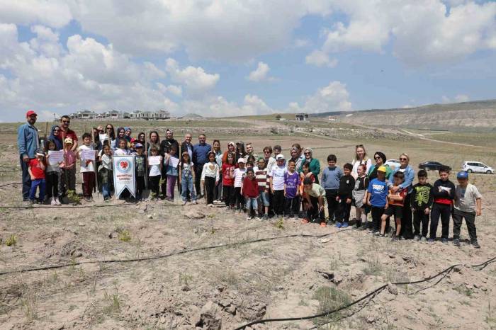 Başkan Çolakbayrakdar: "İklim Değişikliğiyle Mücadelenin En Etkili Yolu Ağaç Dikmektir"