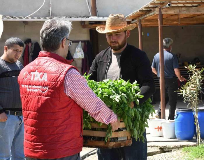 Azerbaycan’da Sel Mağduru Çiftçilerin Yüzü Tika İle Güldü