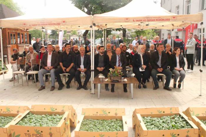 Atıl Tarım Arazilerinde Sebze Yetişecek