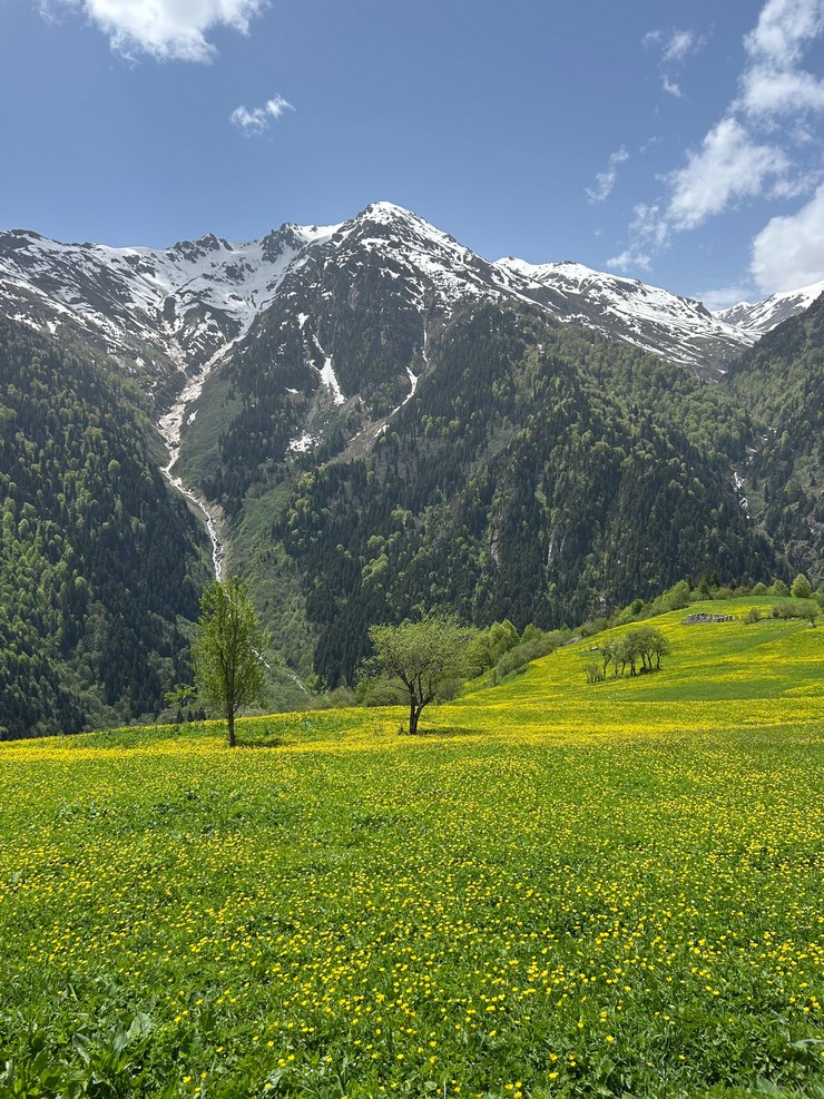 rize-valisi-ihsan-selim-baydas-rizenin-gelecek-adina-en-onemli-potansiyellerinden-birinin-turizm-oldugunu-soyledi-2.jpg