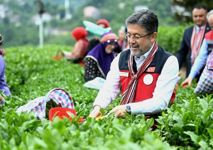 tarim-ve-orman-bakani-ibrahim-yumakli-rizede-cay-hasadinda-bulundu-2-001.jpg