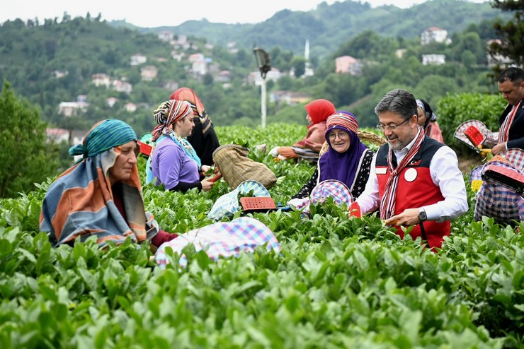 tarim-ve-orman-bakani-ibrahim-yumakli-rizede-cay-hasadinda-bulundu-3.jpg