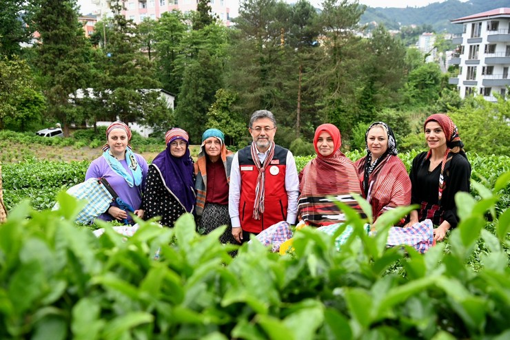 tarim-ve-orman-bakani-ibrahim-yumakli-rizede-cay-hasadinda-bulundu-4-001.jpg