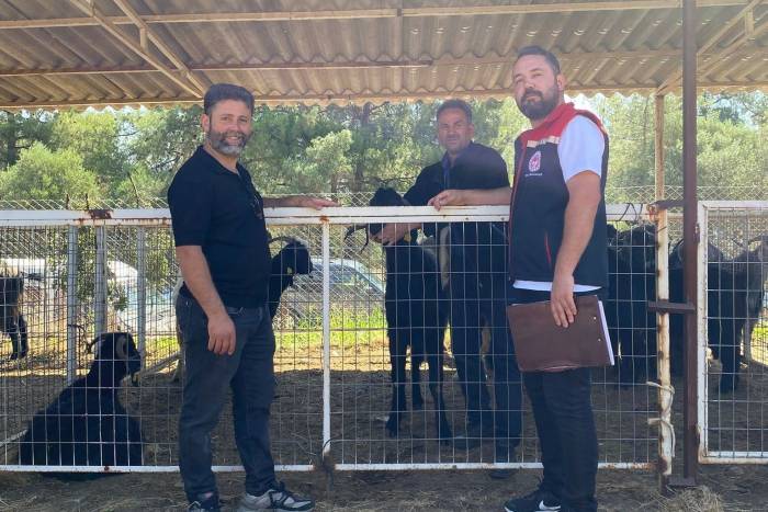 Karacasu’da Kurban Satış Yerleri Denetlendi