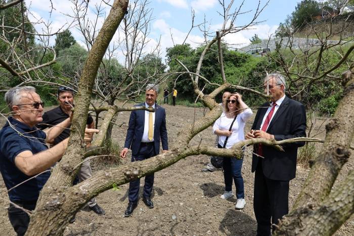Bilecik’te Meyve Bahçelerinde Don Zararına Karşı Eğitim Düzenlendi