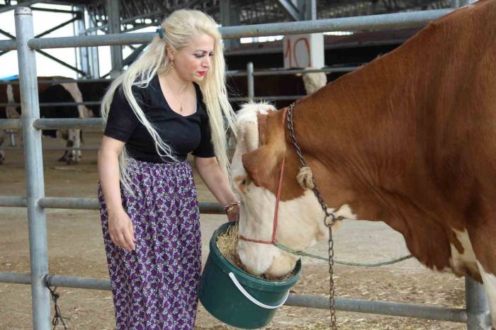 Hayvan Pazarında Kadın Gücü: Ailesi İçin Mücadele Ediyor